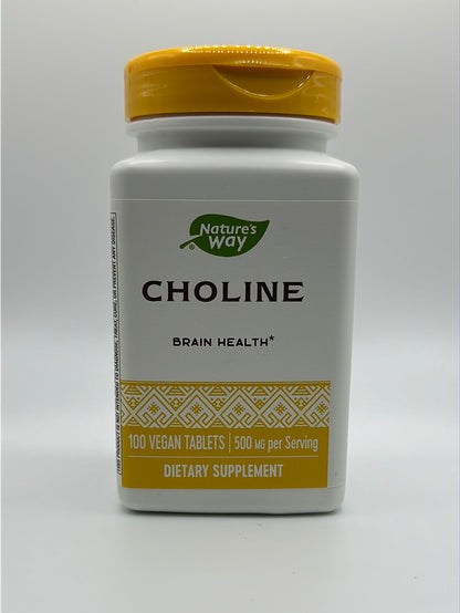 Choline 500MG