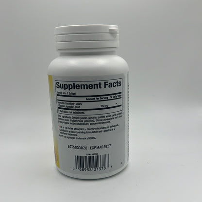 Quercetin Lipomicel 60